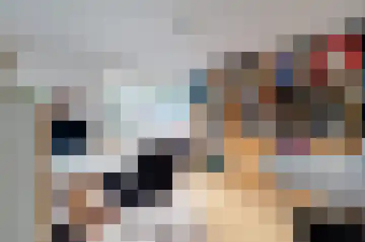 Anemoonweg 15 Paterswolde thumbnail 30