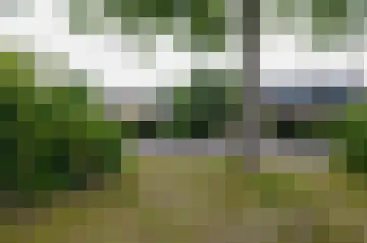 Anemoonweg 15 Paterswolde thumbnail 4
