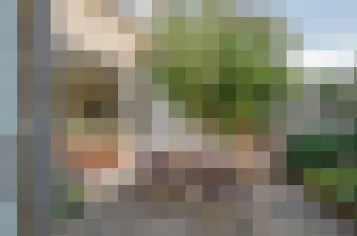 Anemoonweg 15 Paterswolde thumbnail 43