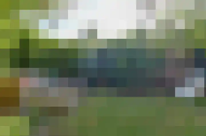 Anemoonweg 15 Paterswolde thumbnail 46