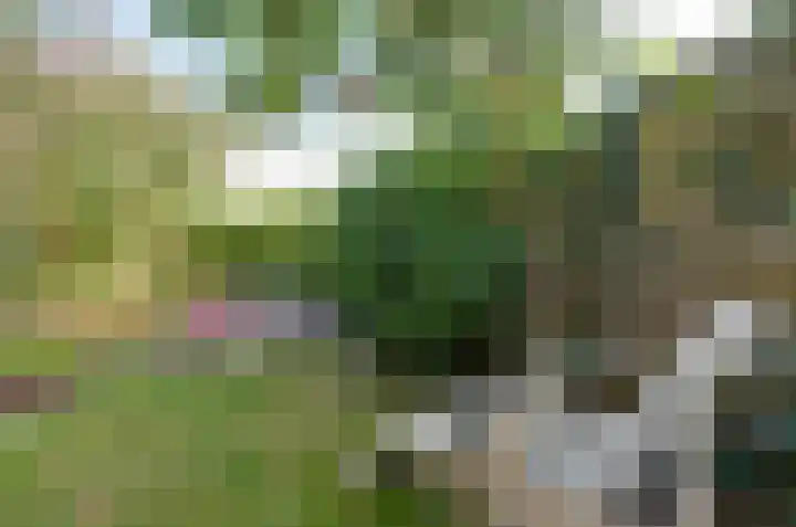 Anemoonweg 15 Paterswolde thumbnail 47