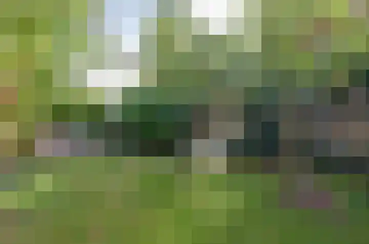 Anemoonweg 15 Paterswolde thumbnail 48
