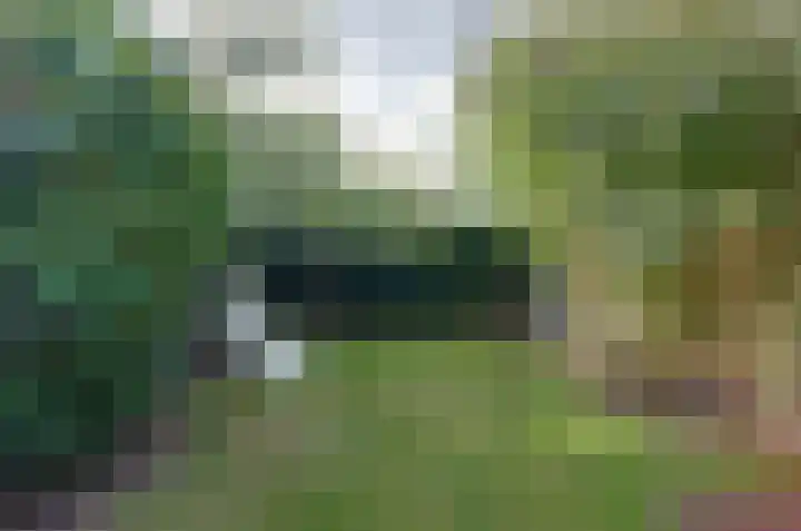 Anemoonweg 15 Paterswolde thumbnail 49