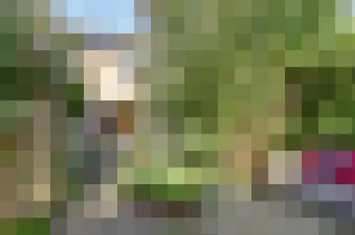 Anemoonweg 15 Paterswolde thumbnail 50