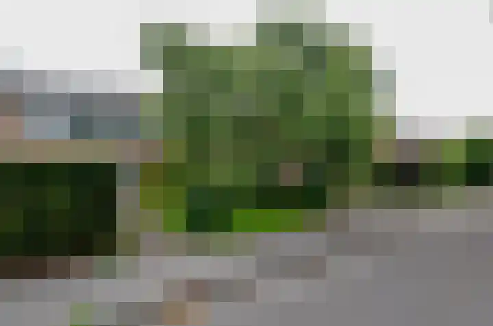Anemoonweg 15 Paterswolde thumbnail 6