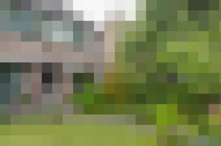 Anemoonweg 15 Paterswolde thumbnail 60