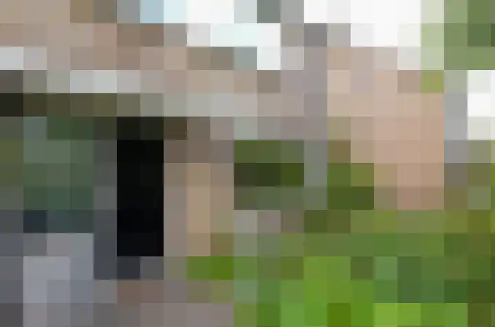 Anemoonweg 15 Paterswolde thumbnail 7