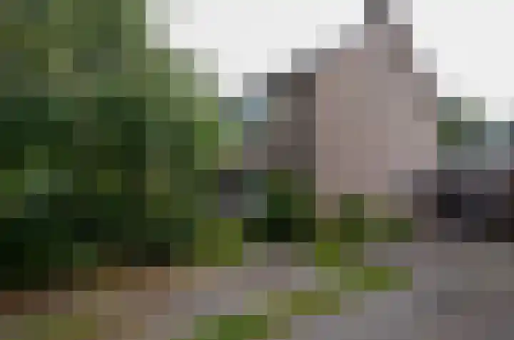 Anemoonweg 15 Paterswolde thumbnail 8