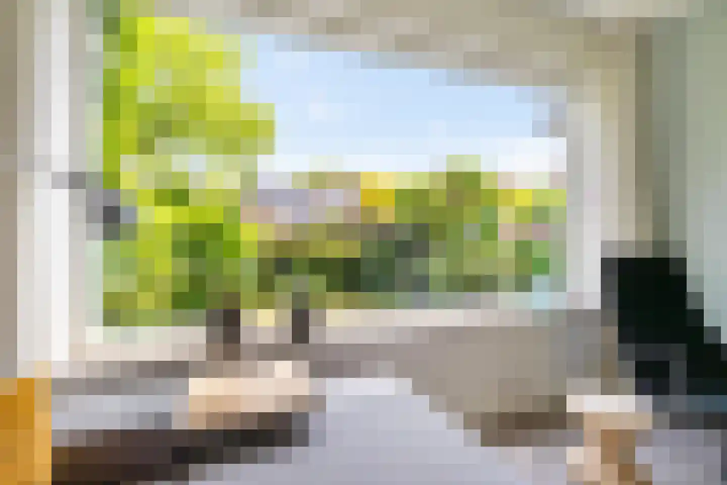 Anemoonweg 38 Paterswolde thumbnail 12