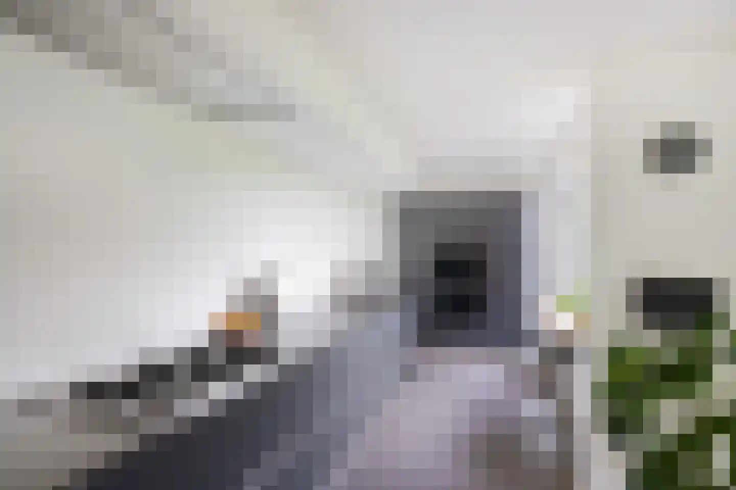 Anemoonweg 38 Paterswolde thumbnail 18