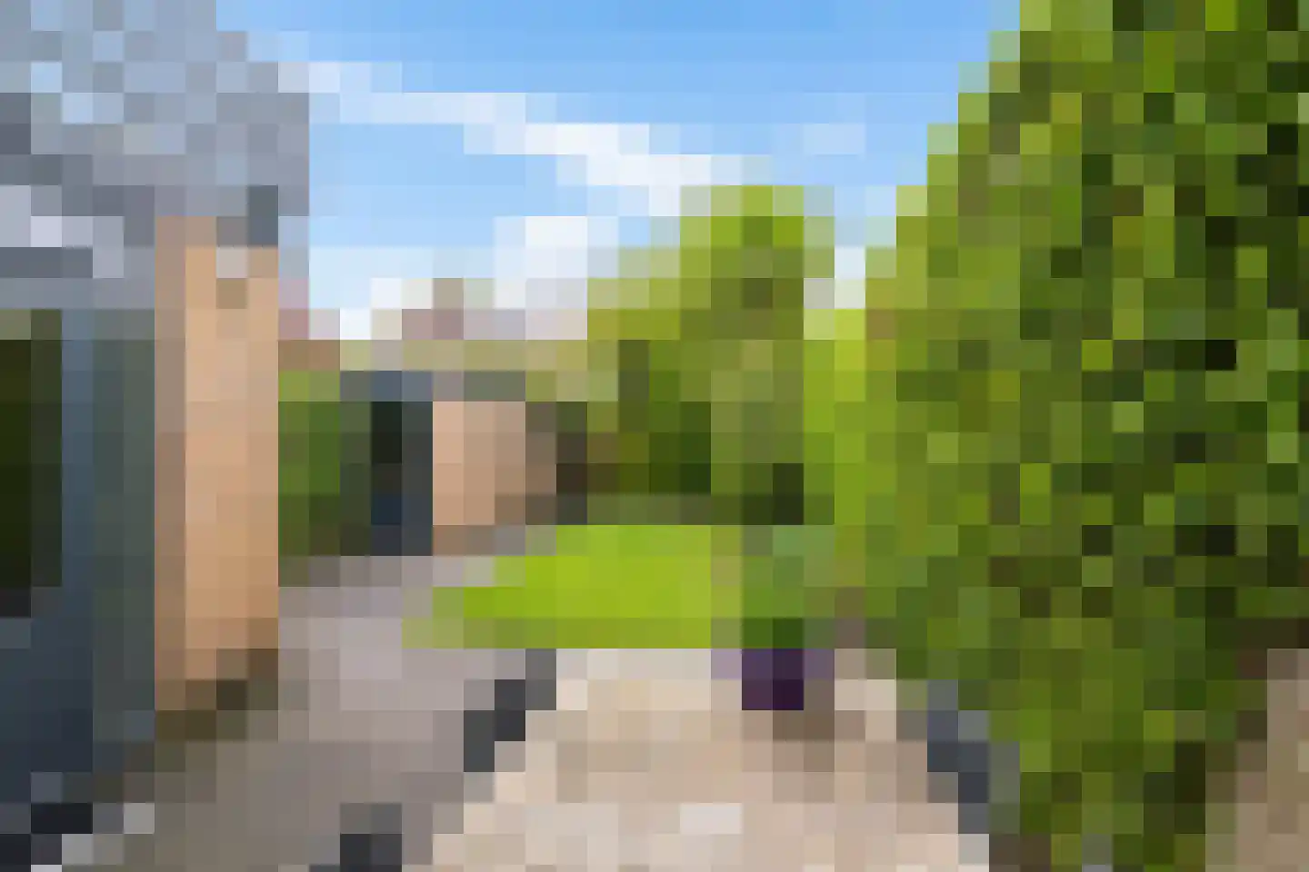 Anemoonweg 38 Paterswolde thumbnail 23