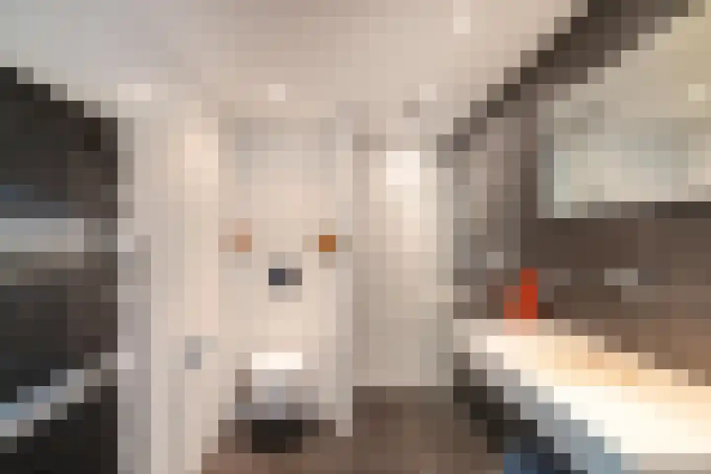 Anemoonweg 38 Paterswolde thumbnail 38