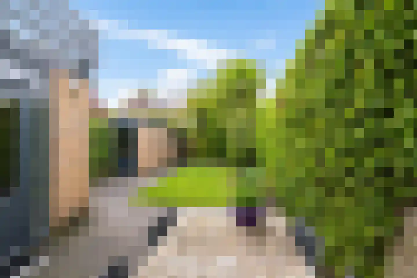 Anemoonweg 38 Paterswolde thumbnail 4