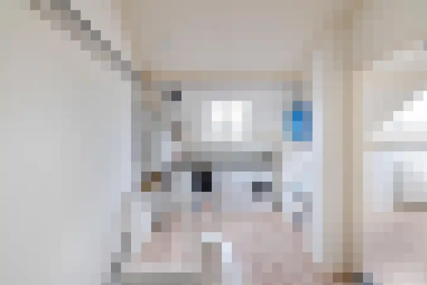 Anemoonweg 38 Paterswolde thumbnail 42