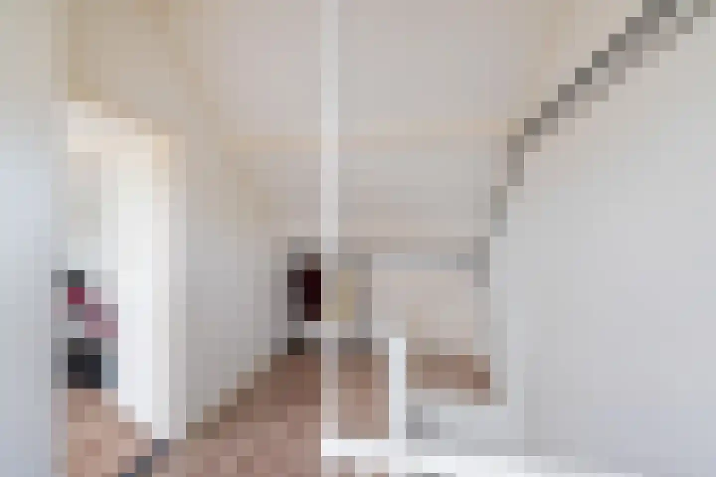 Anemoonweg 38 Paterswolde thumbnail 43