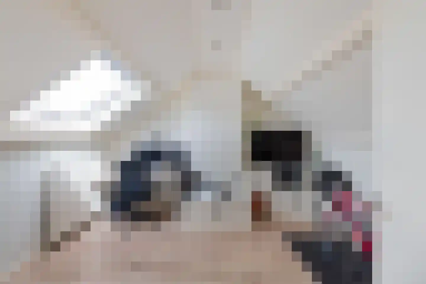 Anemoonweg 38 Paterswolde thumbnail 44