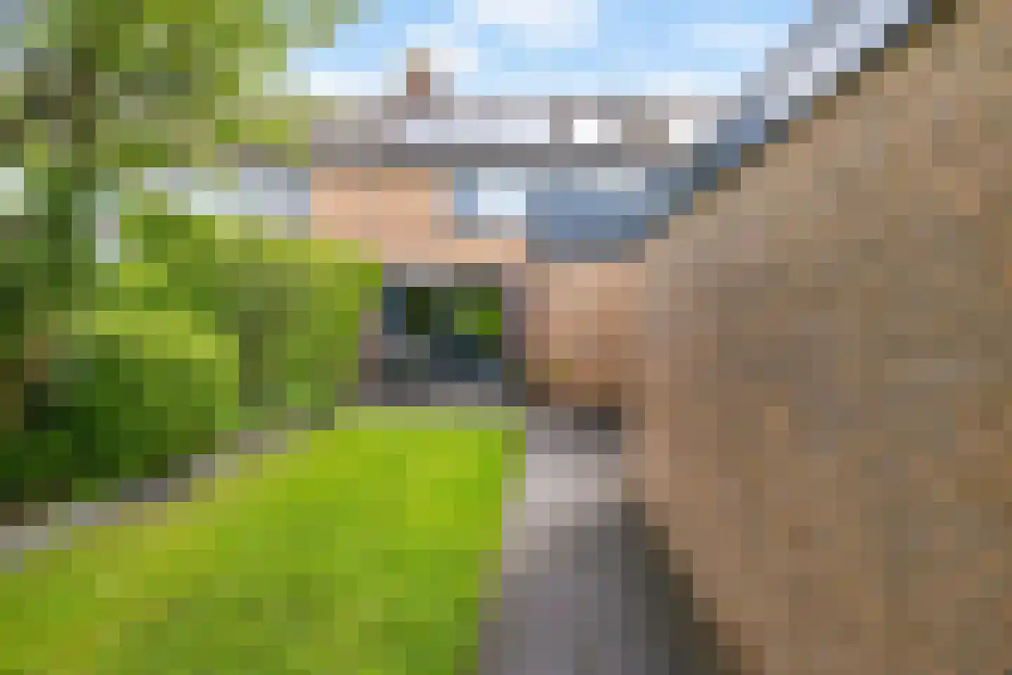 Anemoonweg 38 Paterswolde thumbnail 48