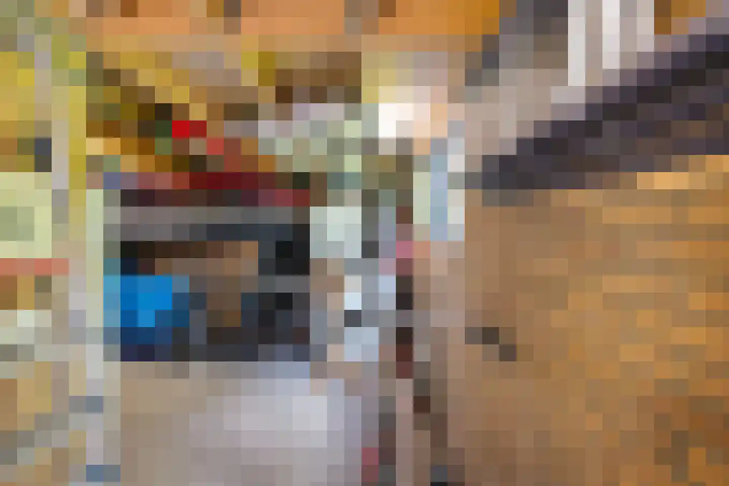 Anemoonweg 38 Paterswolde thumbnail 50