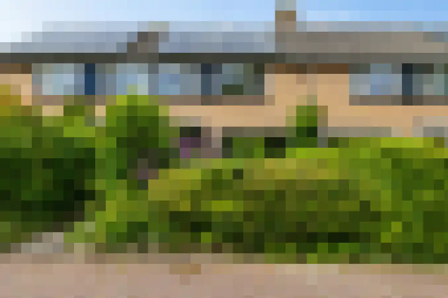 Anemoonweg 38 Paterswolde thumbnail 51
