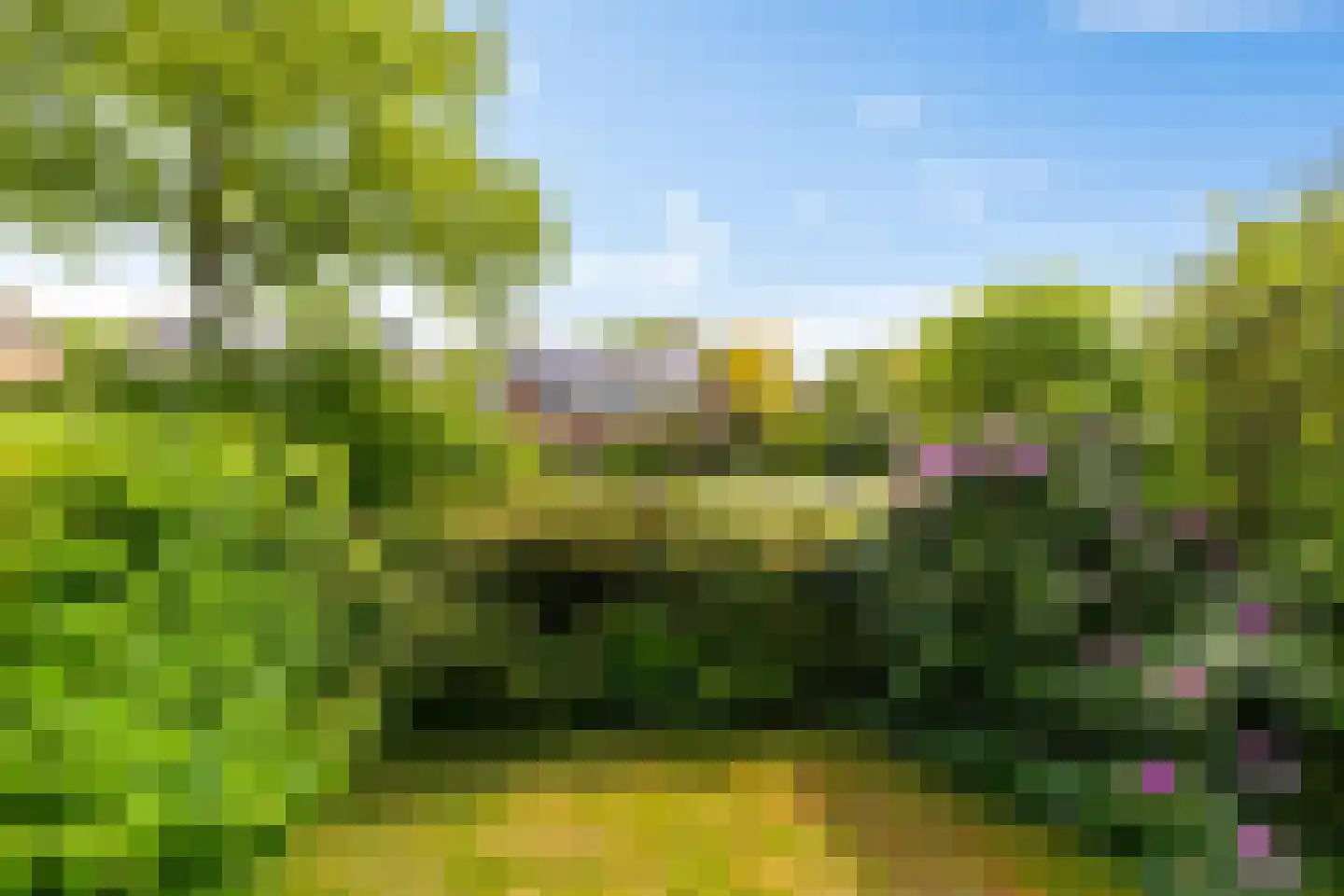 Anemoonweg 38 Paterswolde thumbnail 52