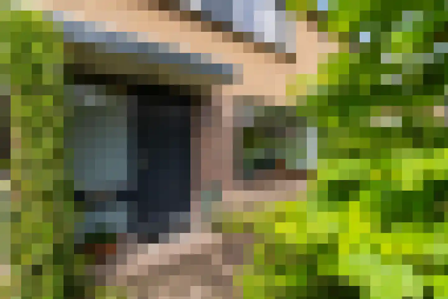 Anemoonweg 38 Paterswolde thumbnail 6