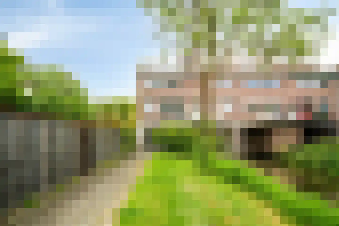 Anemoonzoom 14 in Leiderdorp