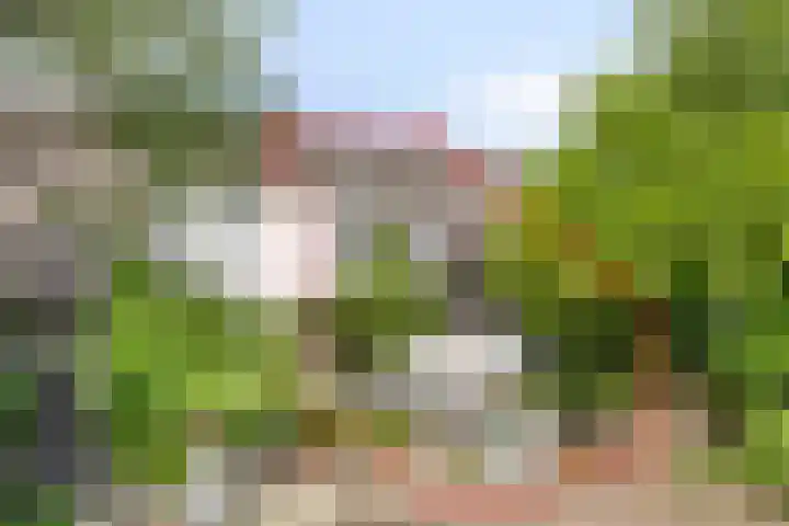 Anemoonzoom 6 Leiderdorp