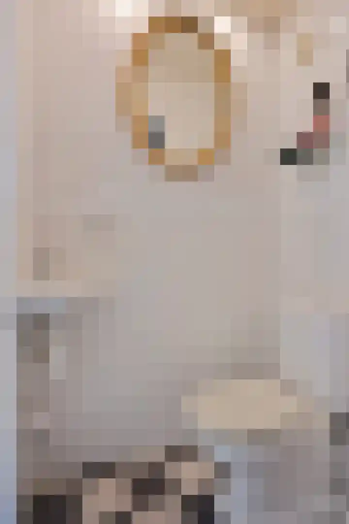 Anemoonzoom 6 Leiderdorp thumbnail 10
