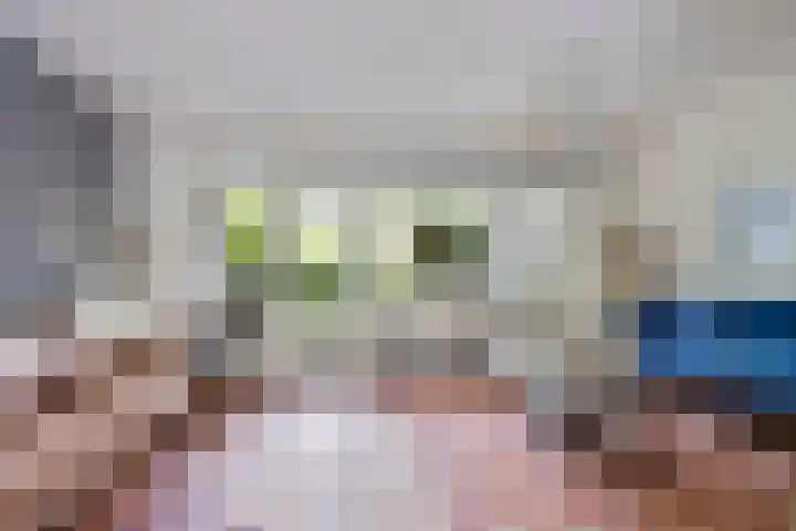 Anemoonzoom 6 Leiderdorp thumbnail 13