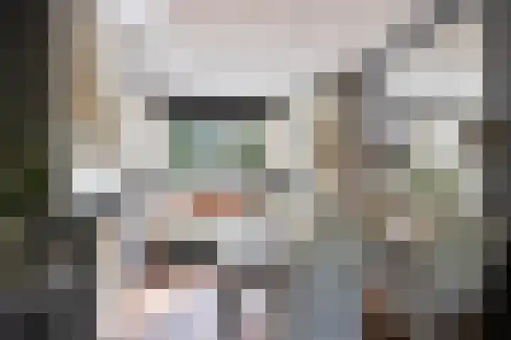 Anemoonzoom 6 Leiderdorp thumbnail 14