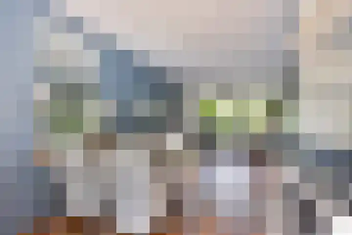 Anemoonzoom 6 Leiderdorp thumbnail 15