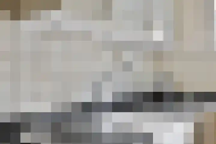 Anemoonzoom 6 Leiderdorp thumbnail 16
