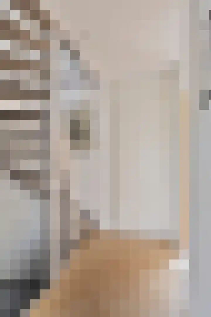 Anemoonzoom 6 Leiderdorp thumbnail 17