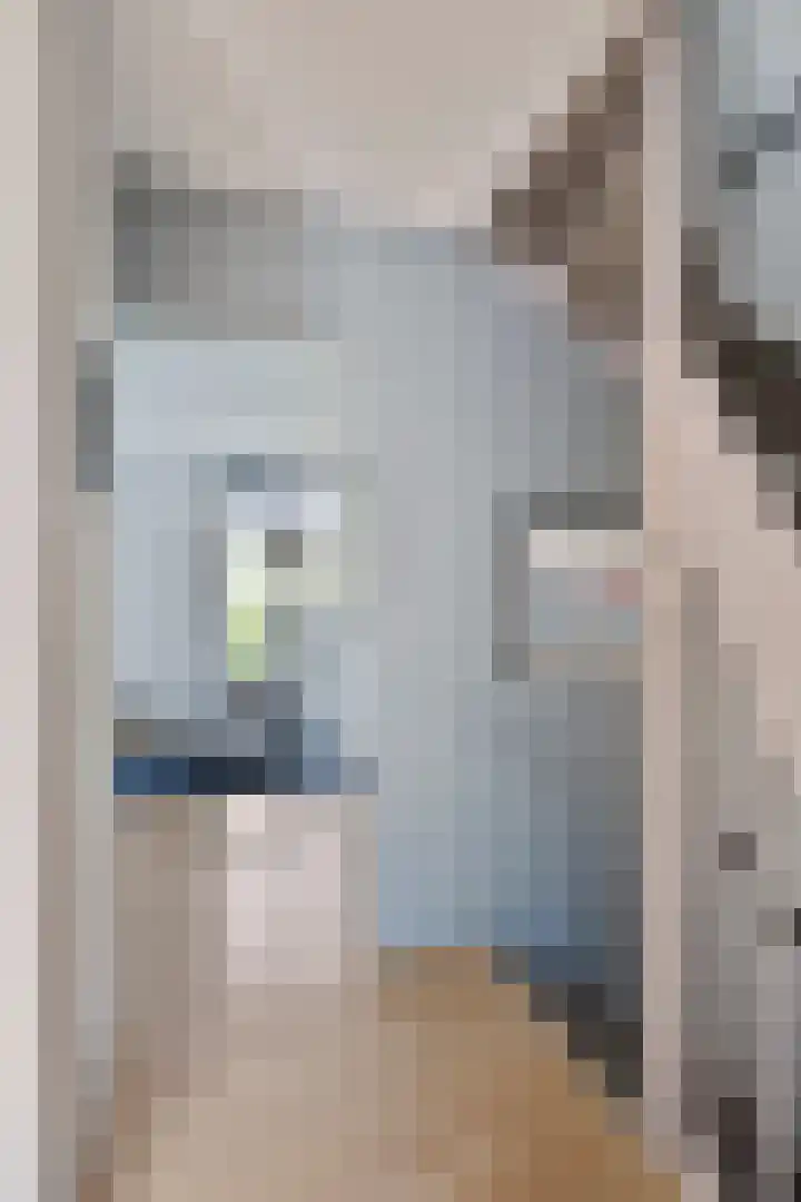 Anemoonzoom 6 Leiderdorp thumbnail 18