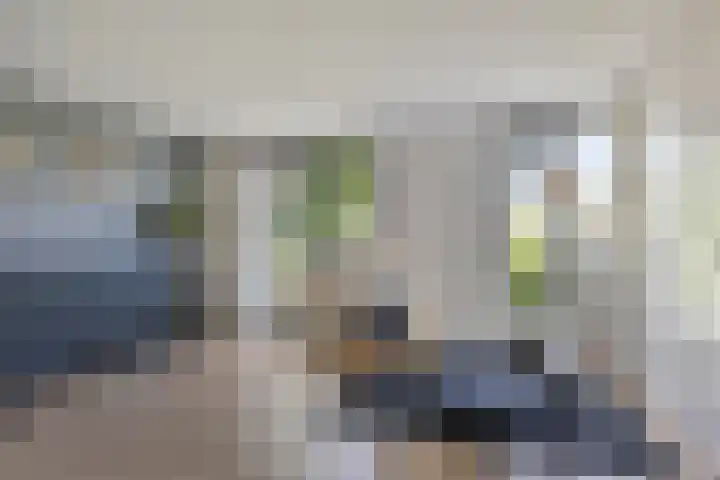 Anemoonzoom 6 Leiderdorp thumbnail 19