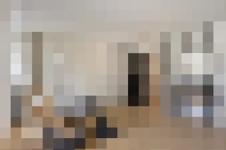 Anemoonzoom 6 Leiderdorp thumbnail 20