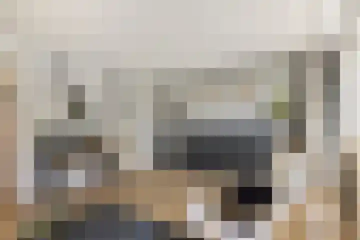 Anemoonzoom 6 Leiderdorp thumbnail 21