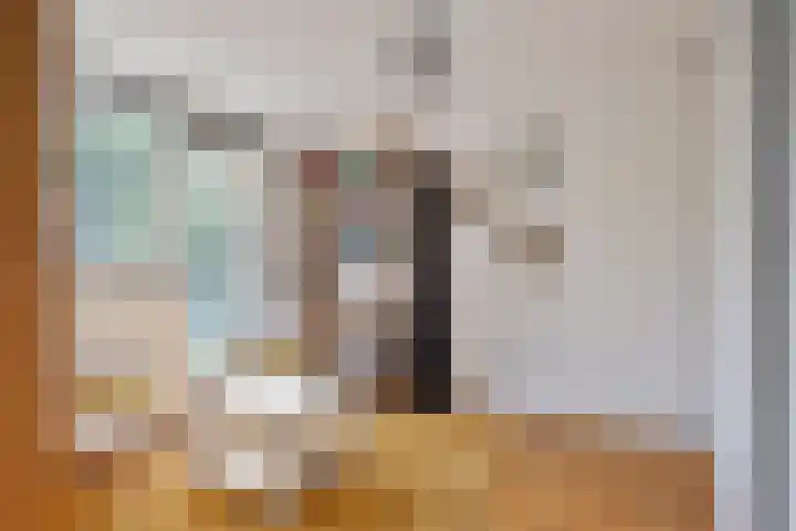 Anemoonzoom 6 Leiderdorp thumbnail 22