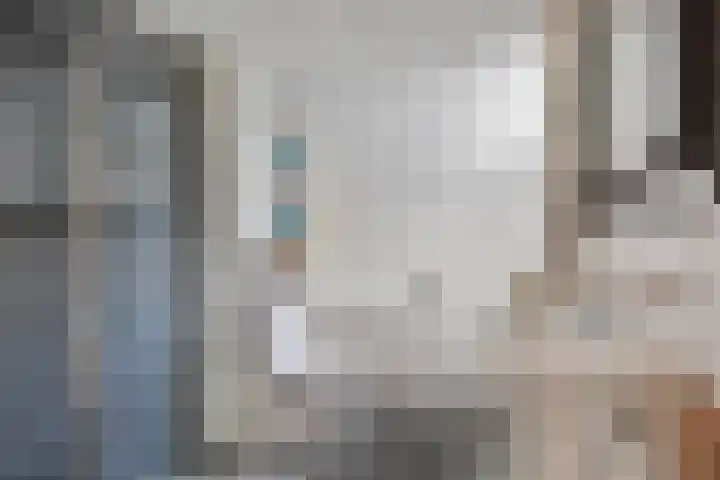 Anemoonzoom 6 Leiderdorp thumbnail 24