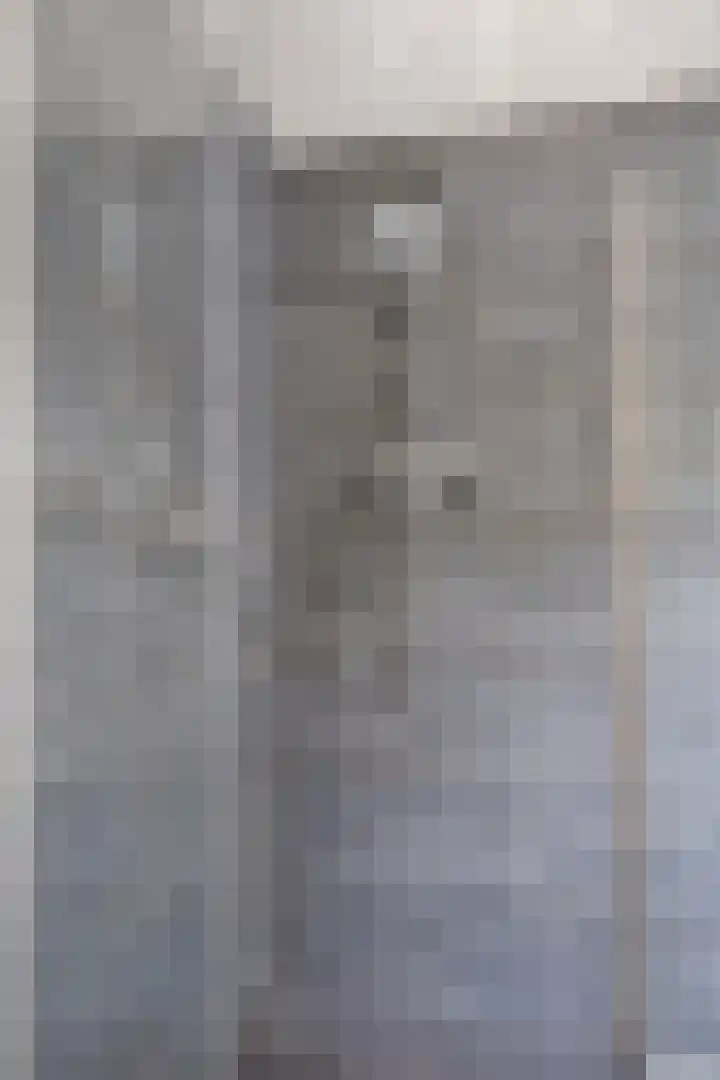 Anemoonzoom 6 Leiderdorp thumbnail 25