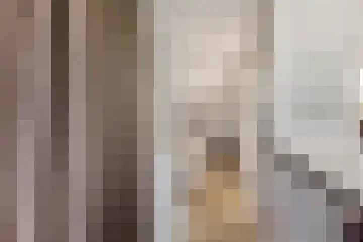 Anemoonzoom 6 Leiderdorp thumbnail 28