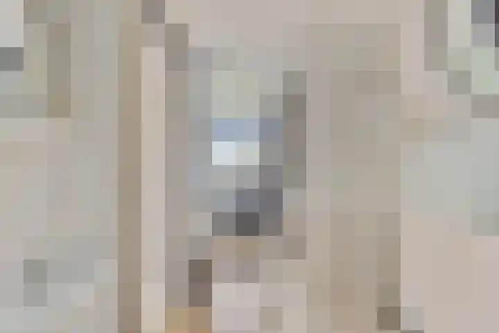 Anemoonzoom 6 Leiderdorp thumbnail 29