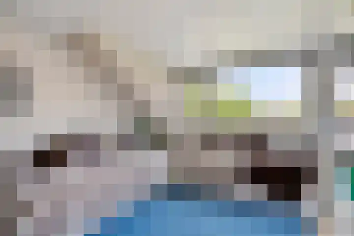 Anemoonzoom 6 Leiderdorp thumbnail 30