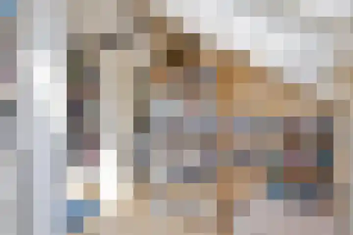 Anemoonzoom 6 Leiderdorp thumbnail 34