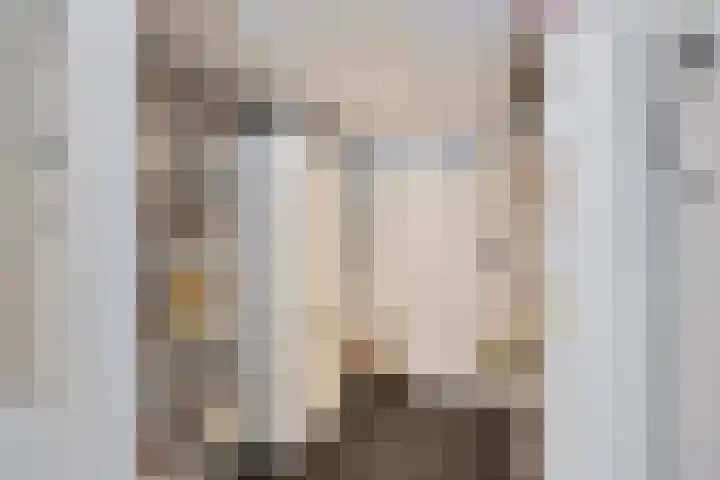 Anemoonzoom 6 Leiderdorp thumbnail 35