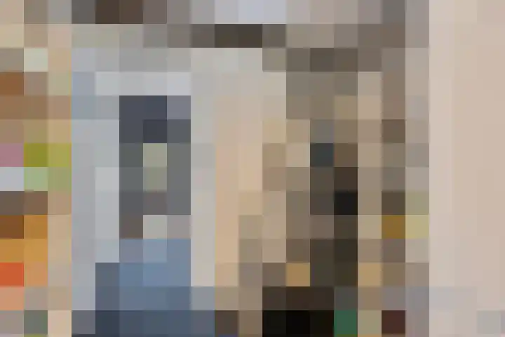 Anemoonzoom 6 Leiderdorp thumbnail 36