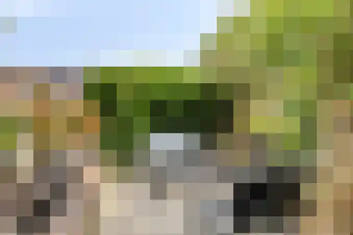 Anemoonzoom 6 Leiderdorp thumbnail 39