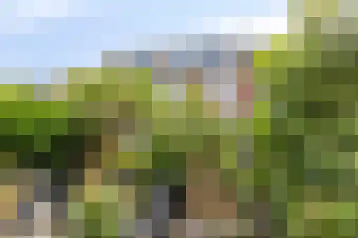 Anemoonzoom 6 Leiderdorp thumbnail 40