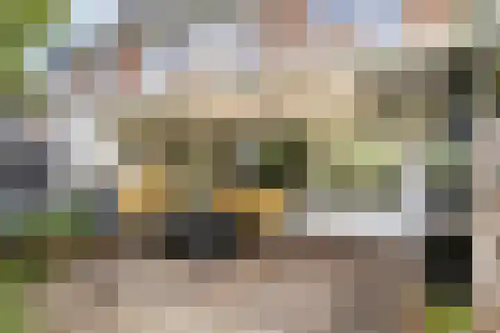 Anemoonzoom 6 Leiderdorp thumbnail 41
