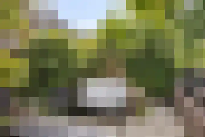 Anemoonzoom 6 Leiderdorp thumbnail 42